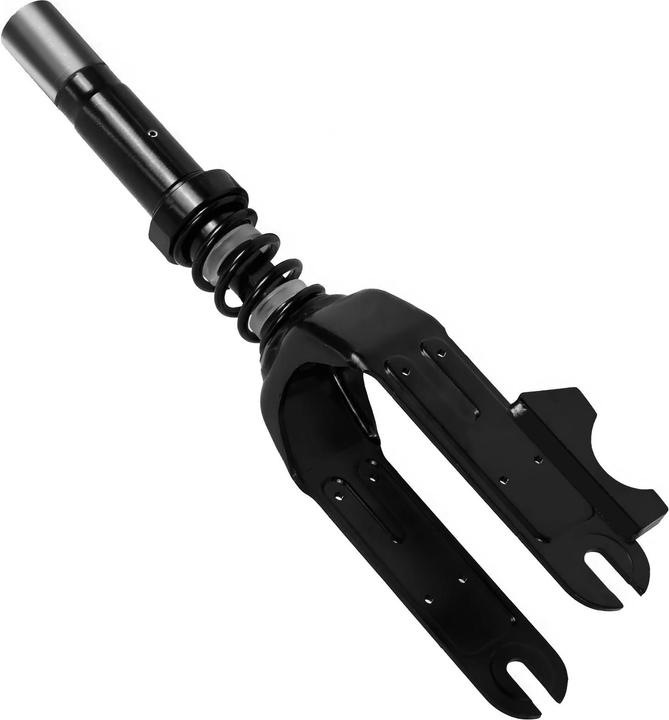 Actual product image Ninebot Fork