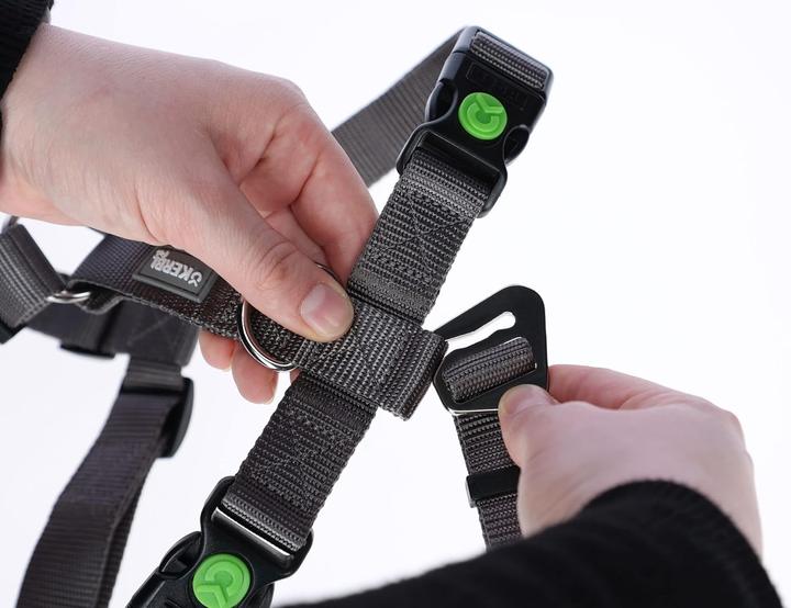 Immagine prodotto Kerbl Imbracatura antipanico Miami, grigia, 15 mm, 38-52 cm (S, Cane, Generale, Passeggiare)