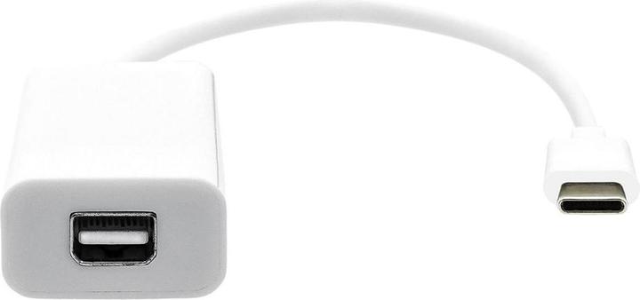 ProXtend USB-C to Mini DP 20cm white (USB Typ-C, 20 cm)