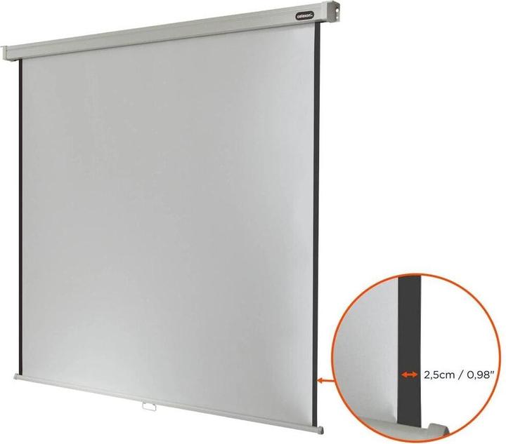 Actual product image Celexon Rollo Professional, Canvas, 1:1 (87.68", 1:1)