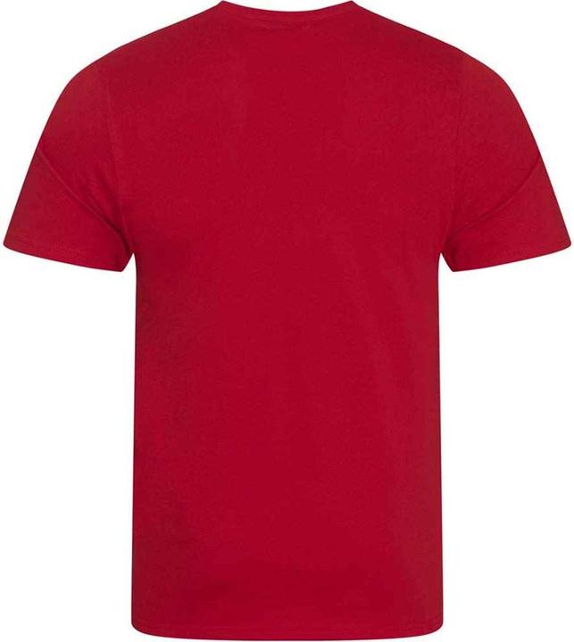 Image du produit Awdis - T-shirt CASCADE - Homme (L)