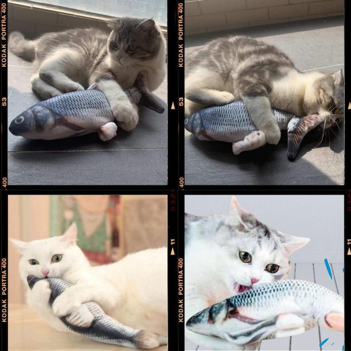 Produktbild Best direct Magic Fish (Plüschspielzeug Katze)