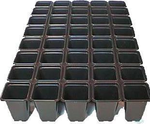 Actual product image Tamar Cultivation plates from disposable pots 9x9x10cm