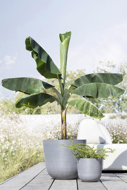 Produktbild Ecopots Oslo (25.50 cm)