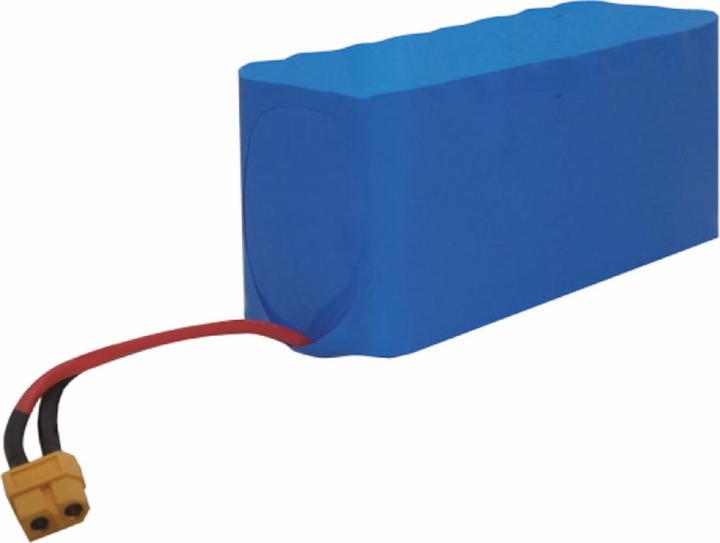 Actual product image Amewi 9.6V 16.2Ah LiFePo battery (9.60 V, 16200 mAh)