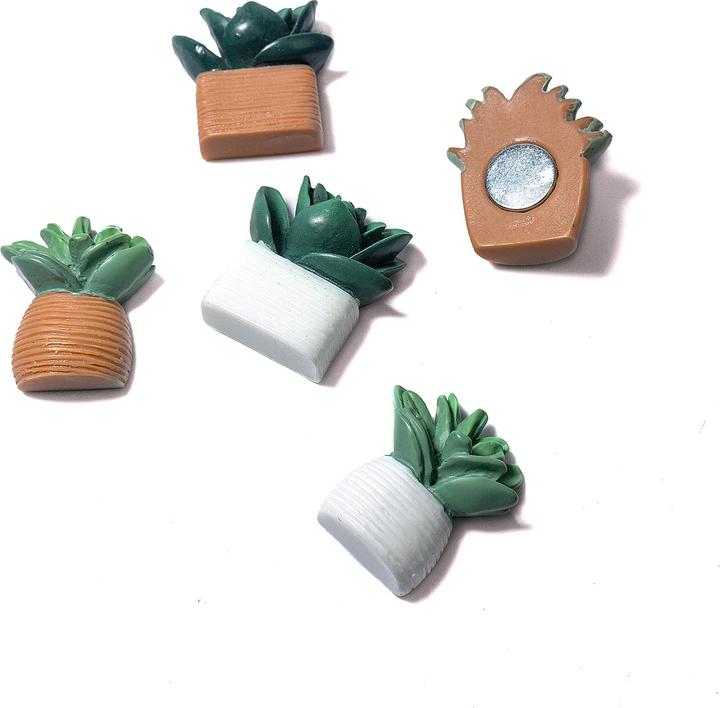 Immagine prodotto Trendform Cactus (5 x)
