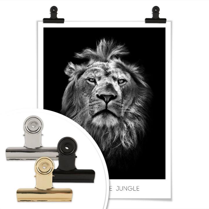 Immagine prodotto Trenddeko Leone - Re della giungla (100 x 120 cm)