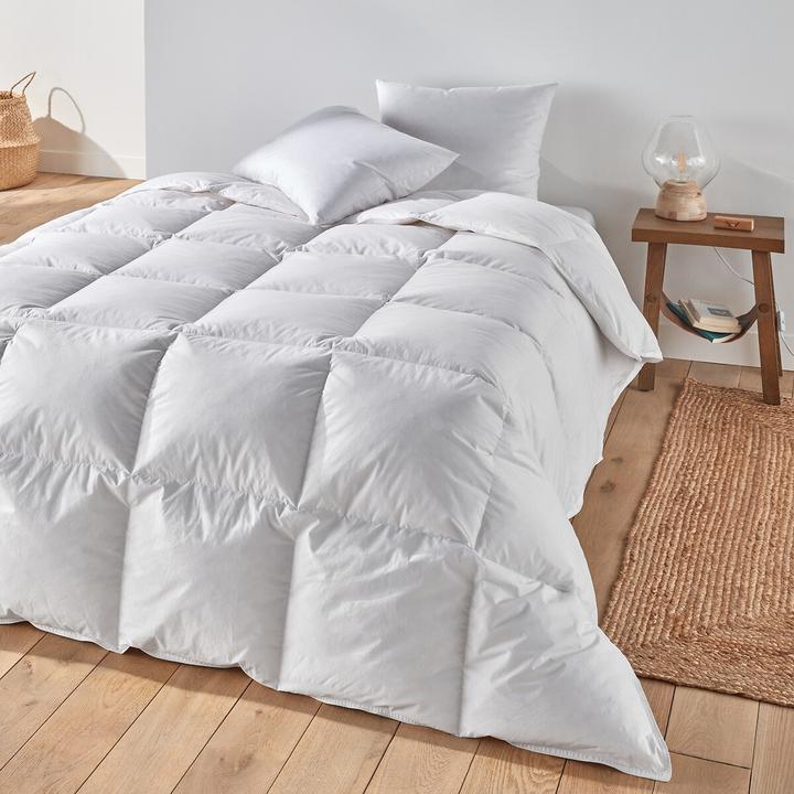 Image du produit La Redoute Interieurs Lri Stand Couette (270 g, 260 x 240 cm)