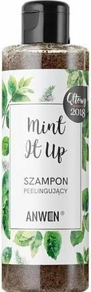 Produktbild Anwen Mint It Up Hair Scrub Shampoo (200 ml, Flüssiges Shampoo)