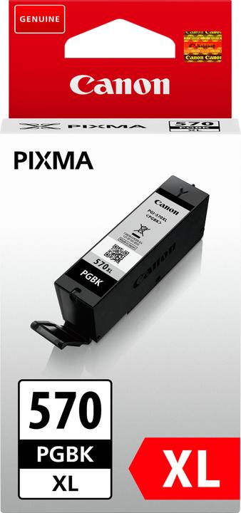 Canon Pgi-570 (FC)
