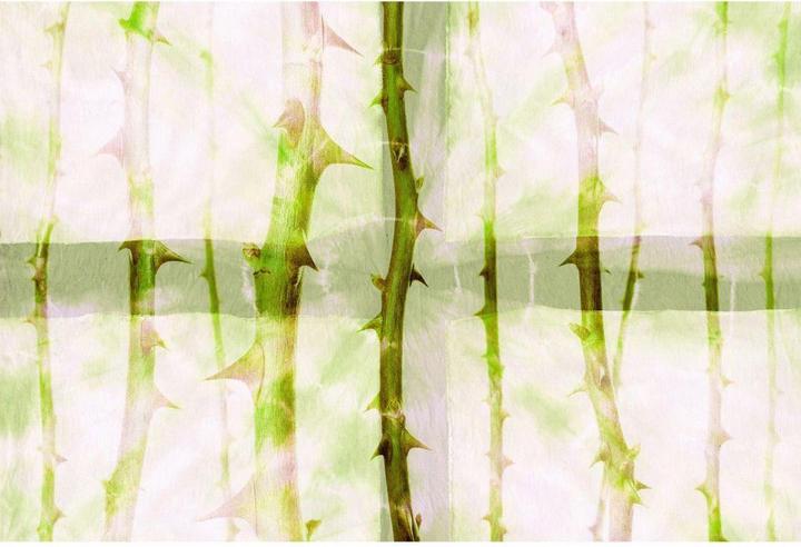 Actual product image Architects Paper Studio 47 Thorn Art Nature (400 x 270 cm)