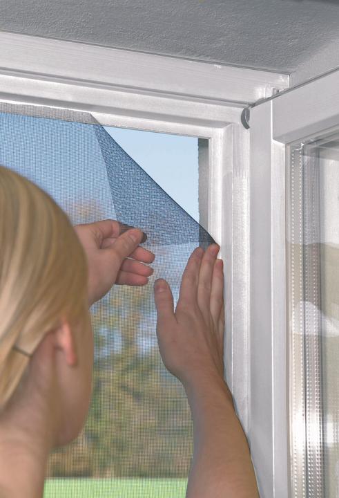 Image du produit Windhager Moustiquaire standard (100 x 100 cm)