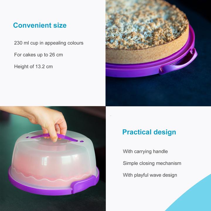 Actual product image Intirilife Cake transport container