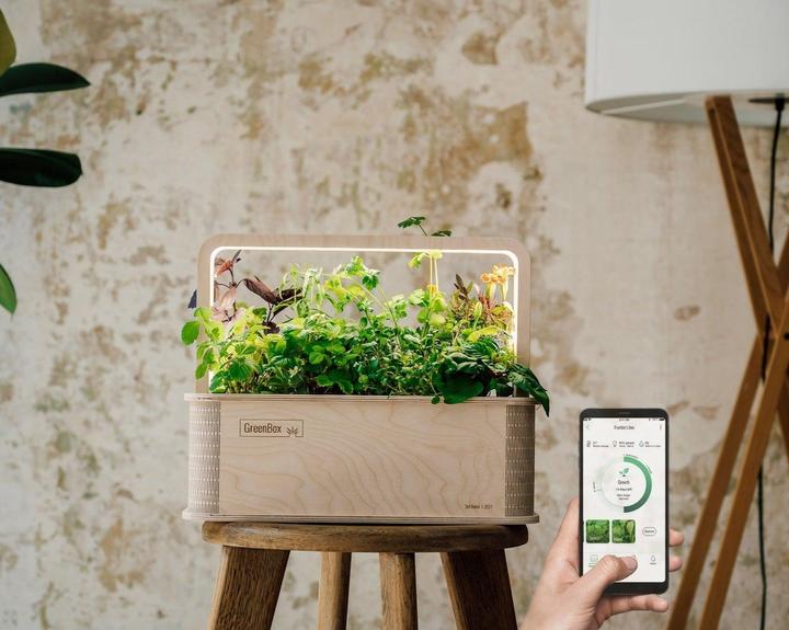 Produktbild BerlinGreen GreenBox Great Variety Bundle