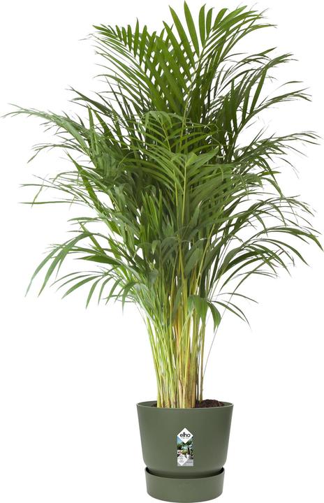 Immagine prodotto Elho Greenville (39 cm)