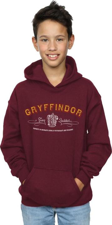 Actual product image Boys Gryffindor Team Quidditch Hoodie (104)