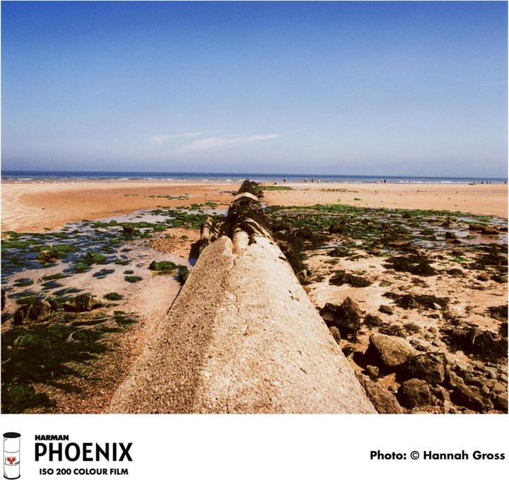 Actual product image Harman Photo PHOENIX 200 120