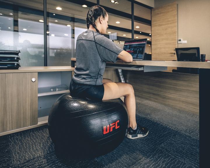 Immagine prodotto UFC Fitball - 55cm (55 cm)