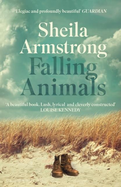 Produktbild Falling Animals (Englisch, Sheila, Armstrong, 2024)