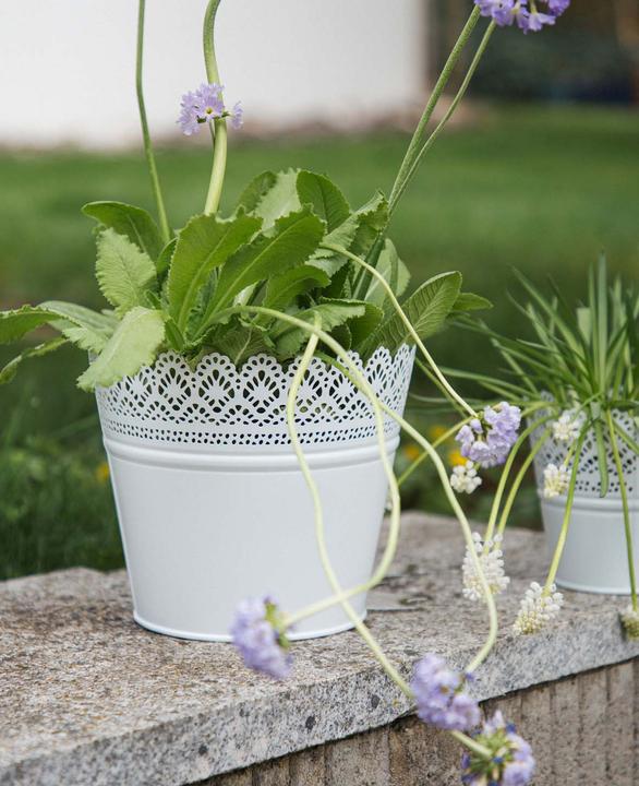 Image du produit Esmée Pot de fleurs, cache-pot avec pointes, tôle (18 cm)