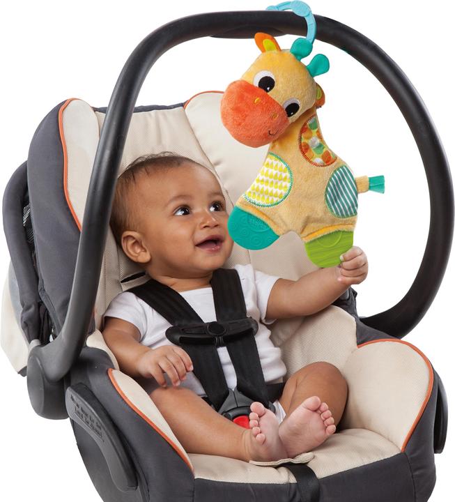 Actual product image Bright Starts Snuggle & Teethe