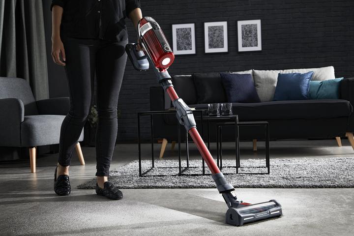 Produktbild Rowenta X-Force Flex 11.60 Animal