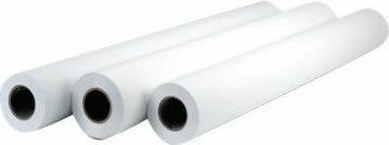 Actual product image HP Professional Matte Canvas 392g/m² 914 mm (392 g/m², 1 x, Plotter rolls)