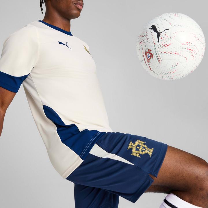 Image du produit Puma Short d'entraînement FPF (M)