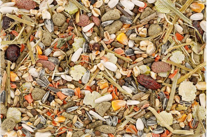 Immagine prodotto Schweizer Alimento di base per porcellini d'India, 850 g (0.85 kg, 1 x)
