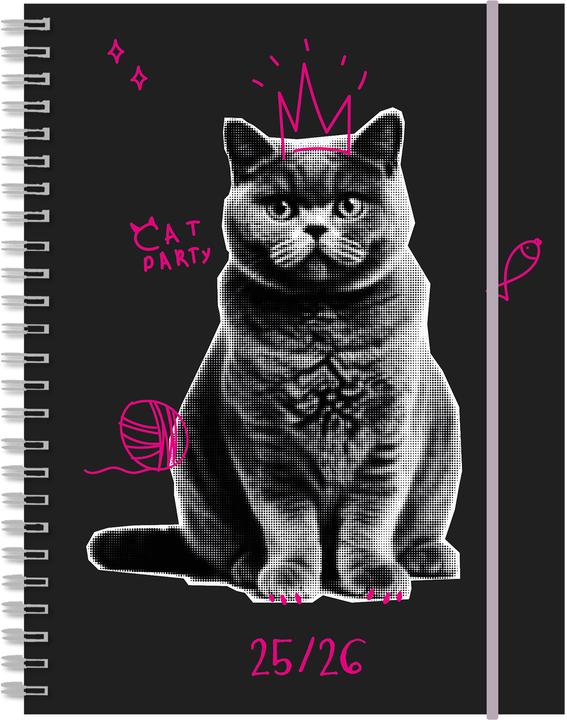 Actual product image Simplex Schüleragenda Touch 25/26 500431.26 1W/2S 17M Cat ML 12x16.5cm (12 x 16.5 cm, Rhaeto-Romanic, German, French, Italian)