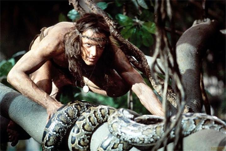 Actual product image Plaion Greystoke - The Legend of Tarzan, Lord of the Apes (Blu-ray, 1984, German, English)