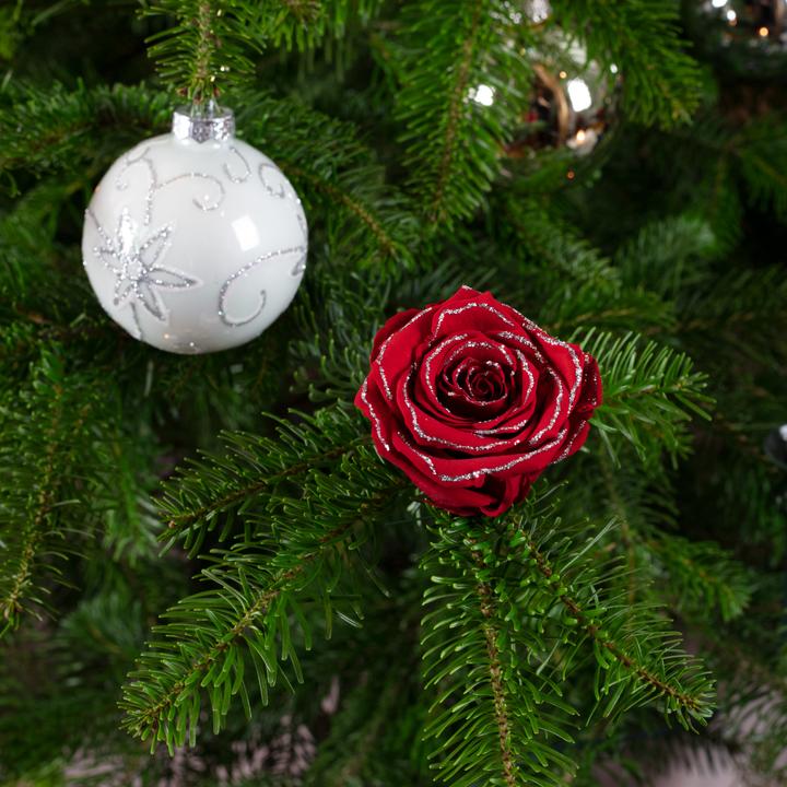 Produktbild Flowerbox 6er-Pack handgefertigte echte Christbaumschmuck-Rosen (Trockenblumen)