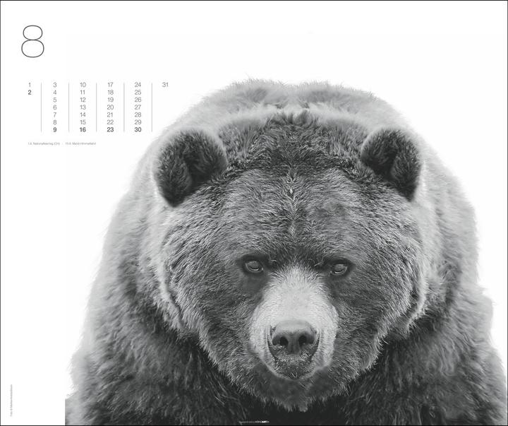 Actual product image Black & White Animals 2026 (55 x 46 cm, Hardcover, German)