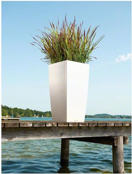 Actual product image Lechuza cubico (39.50 cm)