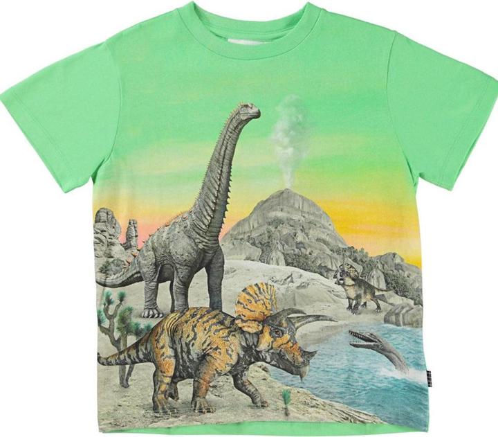 Produktbild Molo T Shirt Rame Dinos (92)