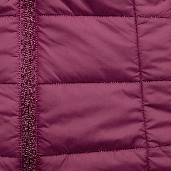 Image du produit Forclaz TREK100 (XXL)