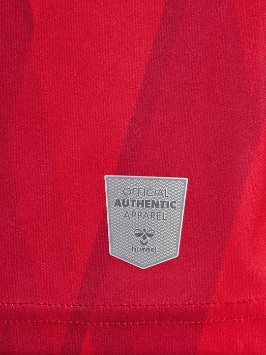 Image du produit hummel Maillot Domicile Aalborg FC 2023/24 (M)