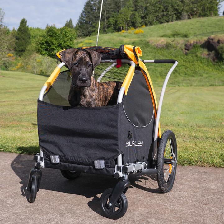Actual product image Burley tail wagon