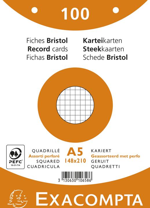 Exacompta Index cards (A4, 205 g/m², 100 x)