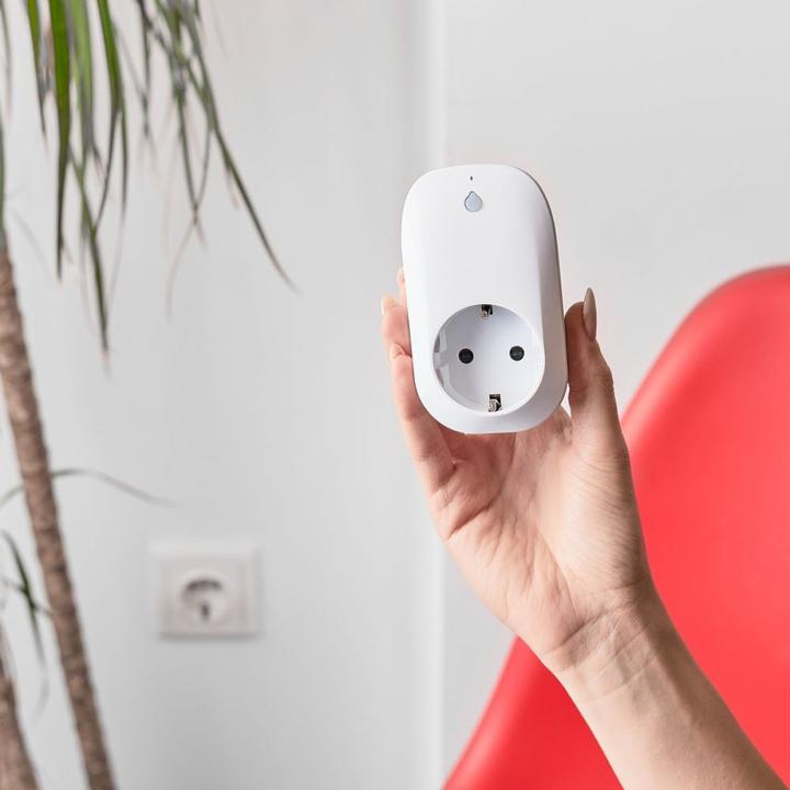 Image du produit Shelly Plug