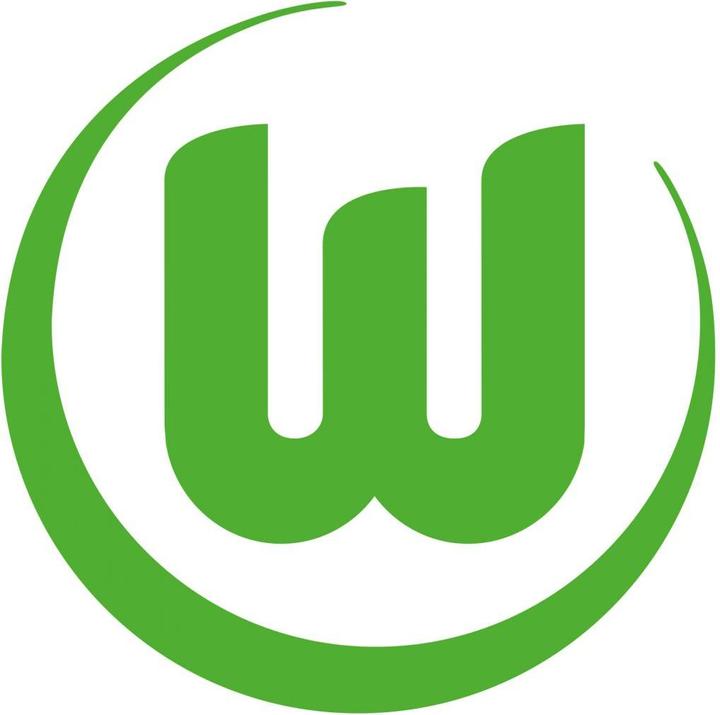 Actual product image VfL Wolfsburg Logo 1 (100 x 100 cm)