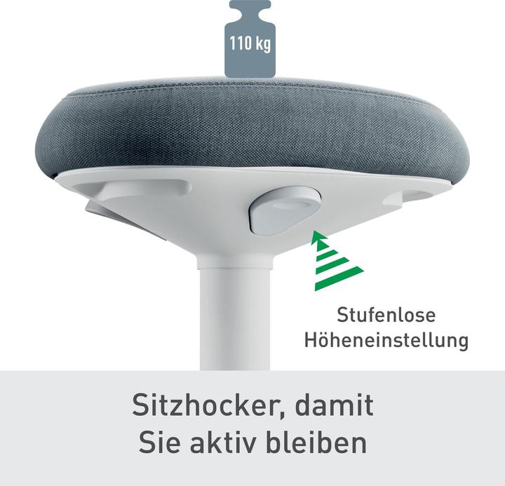 Image du produit Leitz Ergo Active