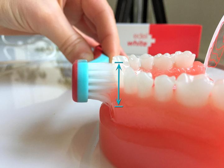 Produktbild Edel + White Pro Gums Zahnbürste - XXL Bürstenkopf (Extra weich, 1 x)