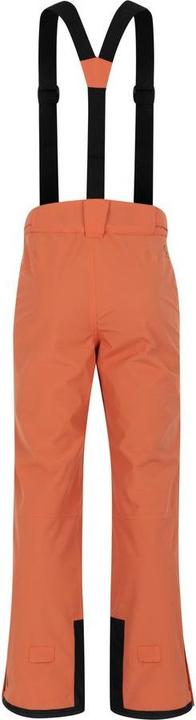 Produktbild Dare2b Achieve II Pant (L)