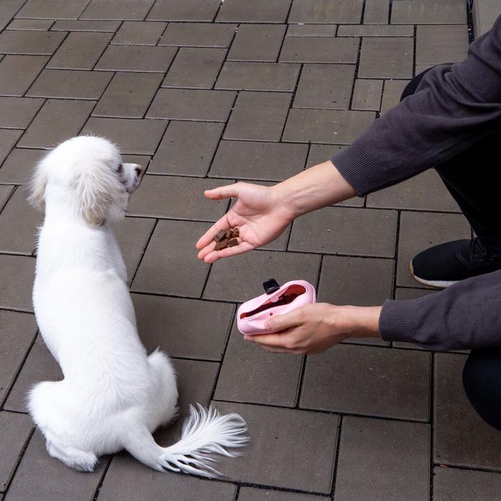 Immagine prodotto Intirilife Borsa per croccantini per cani con clip da cintura (Taglia unica)