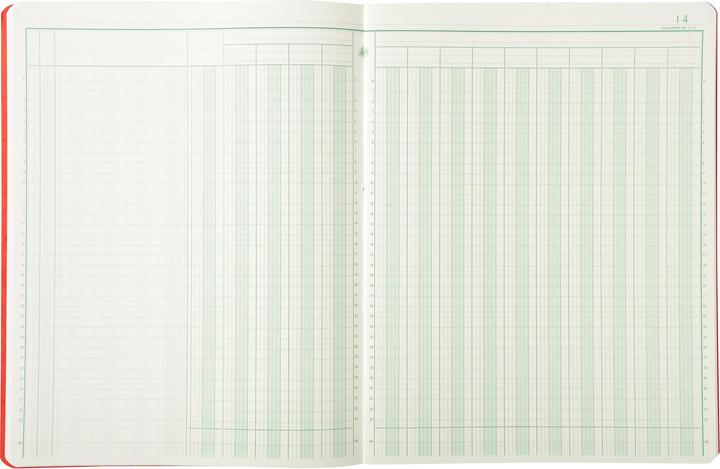 Actual product image Exacompta Business books (40 x)