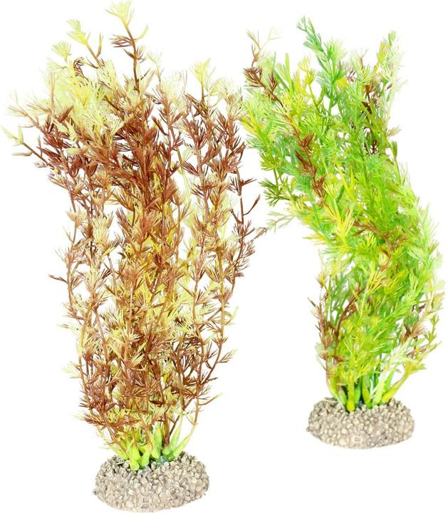 EBI Aqua Della Plant Egeria Densa Set M (Piante)