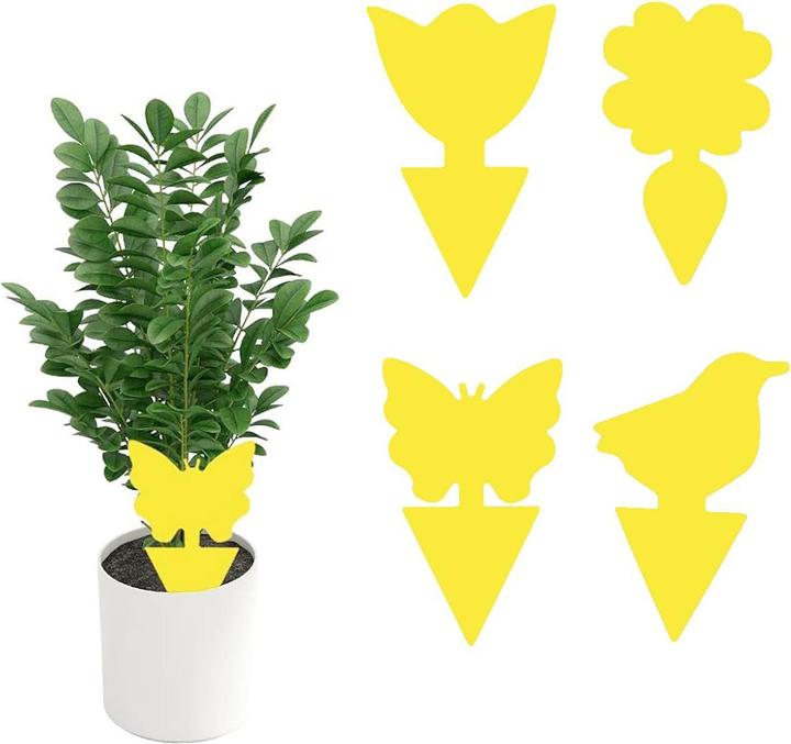 Produktbild König Design Gelbtafeln Gelbsticker Blautafeln Blausticker Fliegenfänger Fruchtfliegen Falle