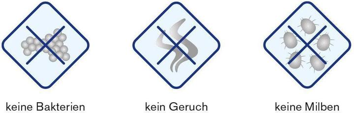 Produktbild DOR Leichtes-Ganzjahres-Duvet SANITIZED (840 g, 160 x 210 cm)