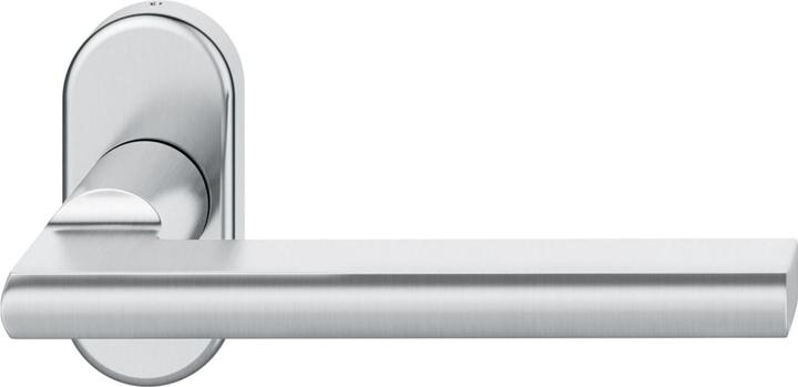 FSB Rahmentürdrücker 09 1035 Hochhaltefeder B ovale Rosette Edelstahl matt (Türgriff)